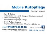 Hames_Autopflege